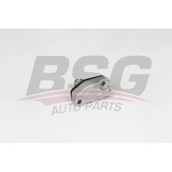 Tendeur, chaîne de distribution BSG OEM 1190501711