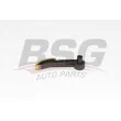 Coulisse, chaîne de distribution BSG [BSG 60-109-051]