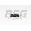 Coulisse, chaîne de distribution BSG [BSG 60-109-058]