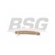 BSG BSG 60-109-072 - Coulisse, chaîne de distribution