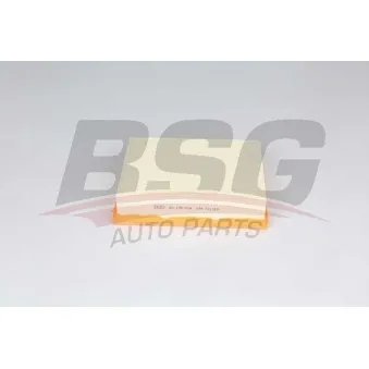 BSG BSG 60-135-018 - Filtre à air