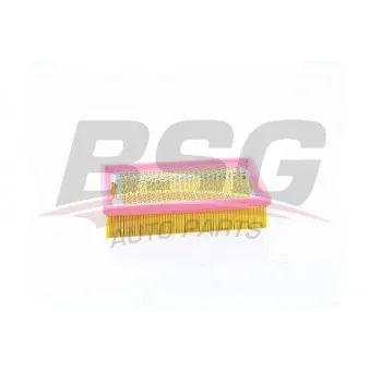 BSG BSG 60-135-038 - Filtre à air