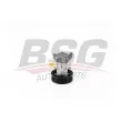 BSG BSG 60-355-032 - Pompe hydraulique, direction