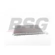 BSG BSG 60-520-049 - Radiateur basse température, intercooler