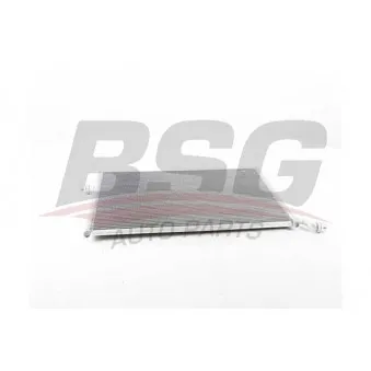 BSG BSG 60-520-049 - Radiateur basse température, intercooler
