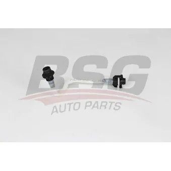 Tuyauterie de carburant BSG OEM 6050701532