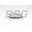 BSG BSG 60-910-053 - Verre de rétroviseur, rétroviseur extérieur