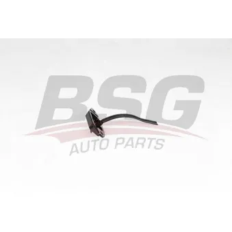Cale-porte BSG BSG 60-975-076