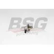 BSG BSG 65-125-012 - Thermostat d'eau