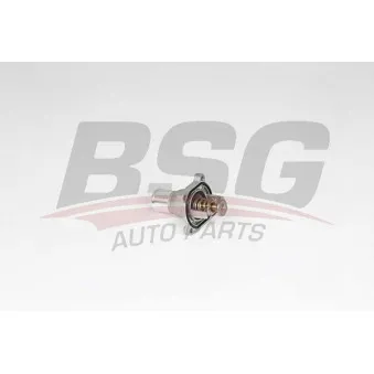 BSG BSG 65-126-011 - Thermostat d'eau