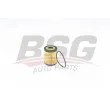 BSG BSG 65-140-010 - Filtre à huile
