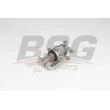 BSG BSG 65-245-012 - Étrier de frein arrière gauche