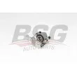 BSG BSG 65-245-022 - Étrier de frein avant gauche