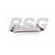 BSG BSG 65-520-050 - Radiateur, refroidissement du moteur