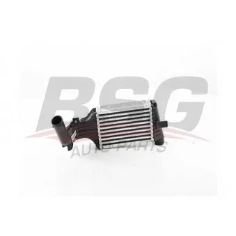 BSG BSG 65-535-004 - Intercooler, échangeur