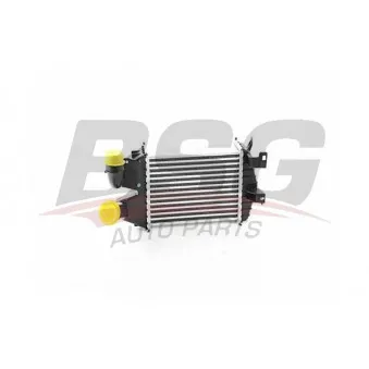 BSG BSG 65-535-006 - Intercooler, échangeur