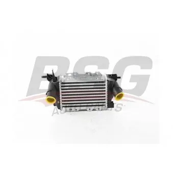 BSG BSG 65-535-019 - Intercooler, échangeur