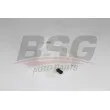 BSG BSG 65-550-014 - Vase d'expansion, liquide de refroidissement