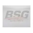 BSG BSG 65-550-017 - Vase d'expansion, liquide de refroidissement