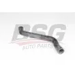 BSG BSG 65-700-379 - Durite de radiateur