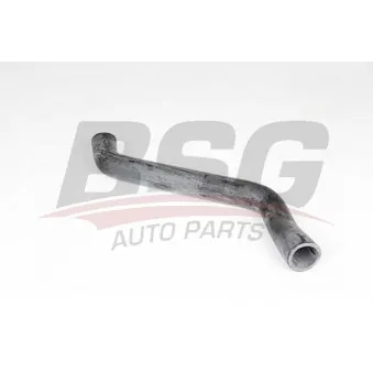 Durite de radiateur BSG BSG 65-700-379