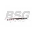 BSG BSG 65-700-409 - Durite de radiateur