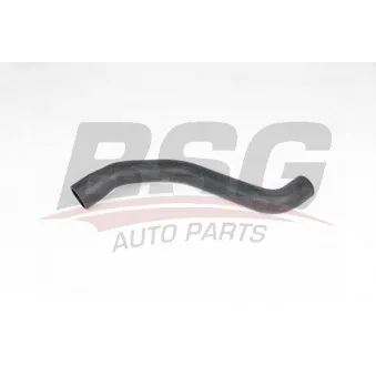 BSG BSG 65-700-411 - Durite de radiateur