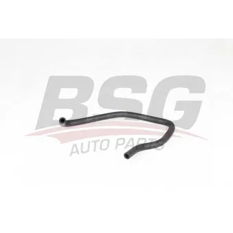 BSG BSG 65-700-413 - Durite de radiateur