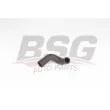 BSG BSG 65-700-425 - Tuyau, ventilation de carter-moteur