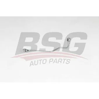 BSG BSG 65-720-220 - Durite de radiateur