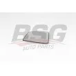 BSG BSG 65-910-042 - Verre de rétroviseur, rétroviseur extérieur