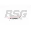 BSG BSG 65-910-043 - Verre de rétroviseur, rétroviseur extérieur