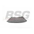 BSG BSG 65-935-004 - Plancher de charge