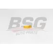 BSG BSG 65-995-019 - Clip