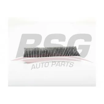 Filtre, air de l'habitacle BSG OEM 6479a6