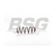 BSG BSG 70-305-003 - Ressort de suspension