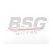 BSG BSG 70-925-005 - Baguette et bande protectrice, porte avant gauche 