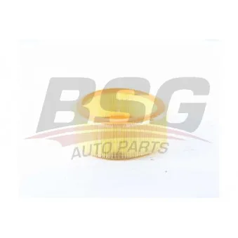 Filtre à air BSG BSG 75-135-006 pour RENAULT CLIO 1.4 - 75cv