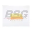 BSG BSG 75-135-022 - Filtre à air