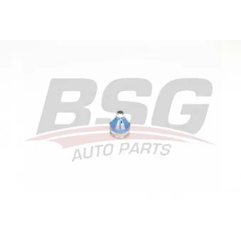 BSG BSG 75-310-044 - Rotule de suspension