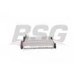 BSG BSG 75-520-004 - Radiateur, refroidissement du moteur
