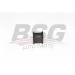 BSG BSG 75-705-039 - Suspension, stabilisateur