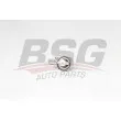 BSG BSG 90-125-007 - Thermostat d'eau
