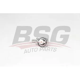 BSG BSG 90-125-007 - Thermostat d'eau