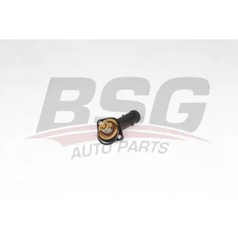 BSG BSG 90-125-008 - Thermostat d'eau