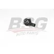 BSG BSG 90-126-050 - Thermostat d'eau