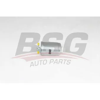 BSG BSG 90-130-039 - Filtre à carburant