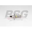 Maître-cylindre de frein BSG [BSG 90-215-002]