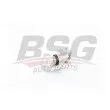 BSG BSG 90-245-005 - Étrier de frein arrière droit 