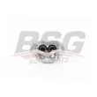 BSG BSG 90-245-011 - Étrier de frein avant droit